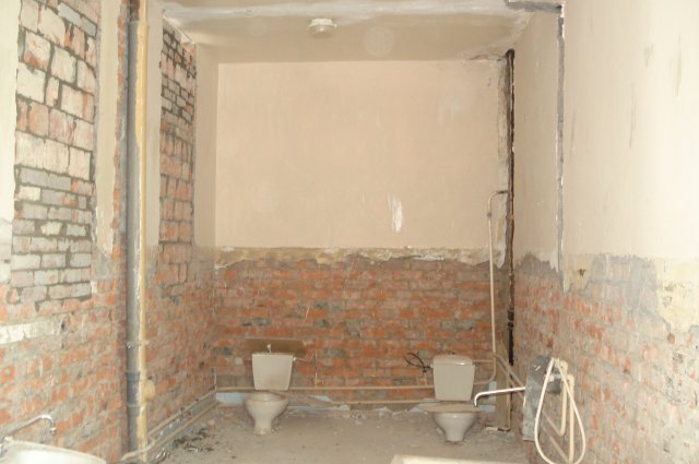 DetDomDoI