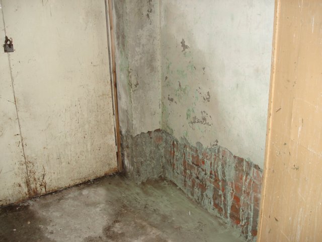 DomTorgPodDoI