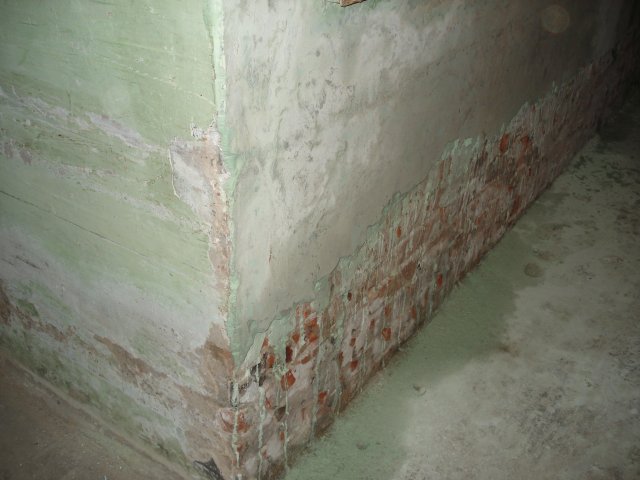 DomTorgPodDoI
