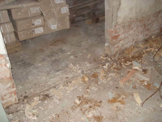 DomTorgPodDoI
