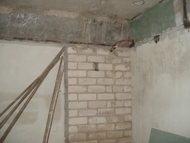 DomTorgPodDoI