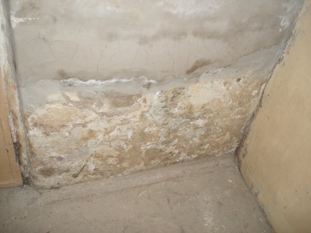 DomTorgPodDoI