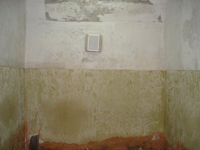 DomTorgPodDoI