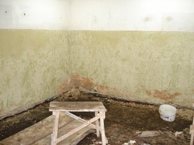 DomTorgPodDoI