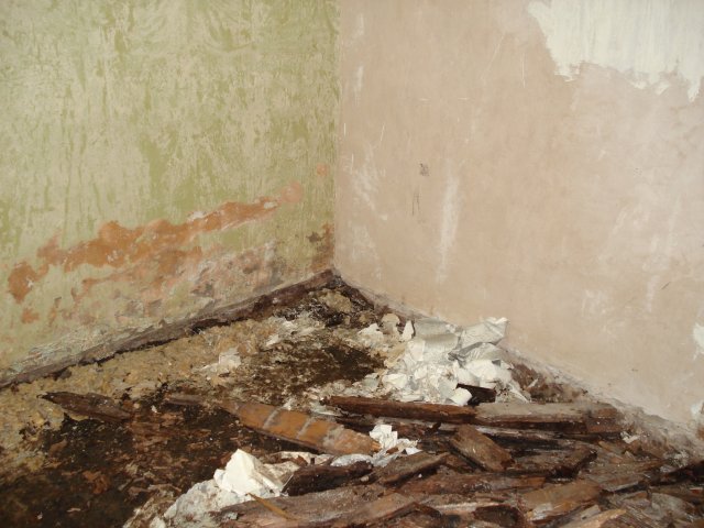 DomTorgPodDoI