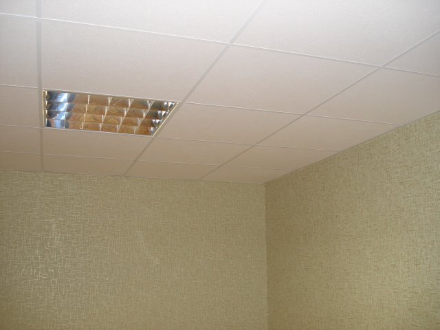 DomTorgPodPosI