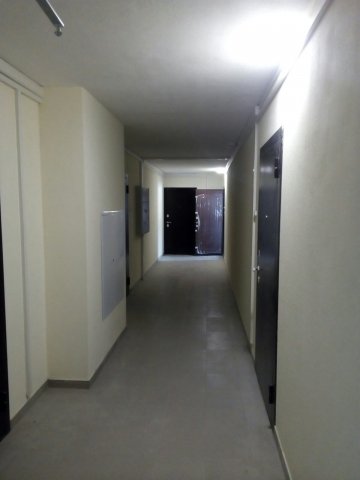 dom_int_9